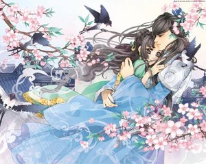 传媒在线免费观看入口